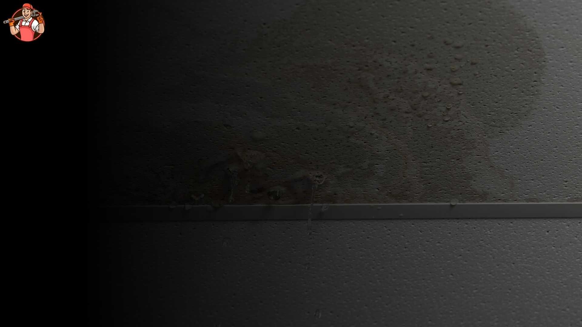 Water Damage Restoration in Oshkosh, WI