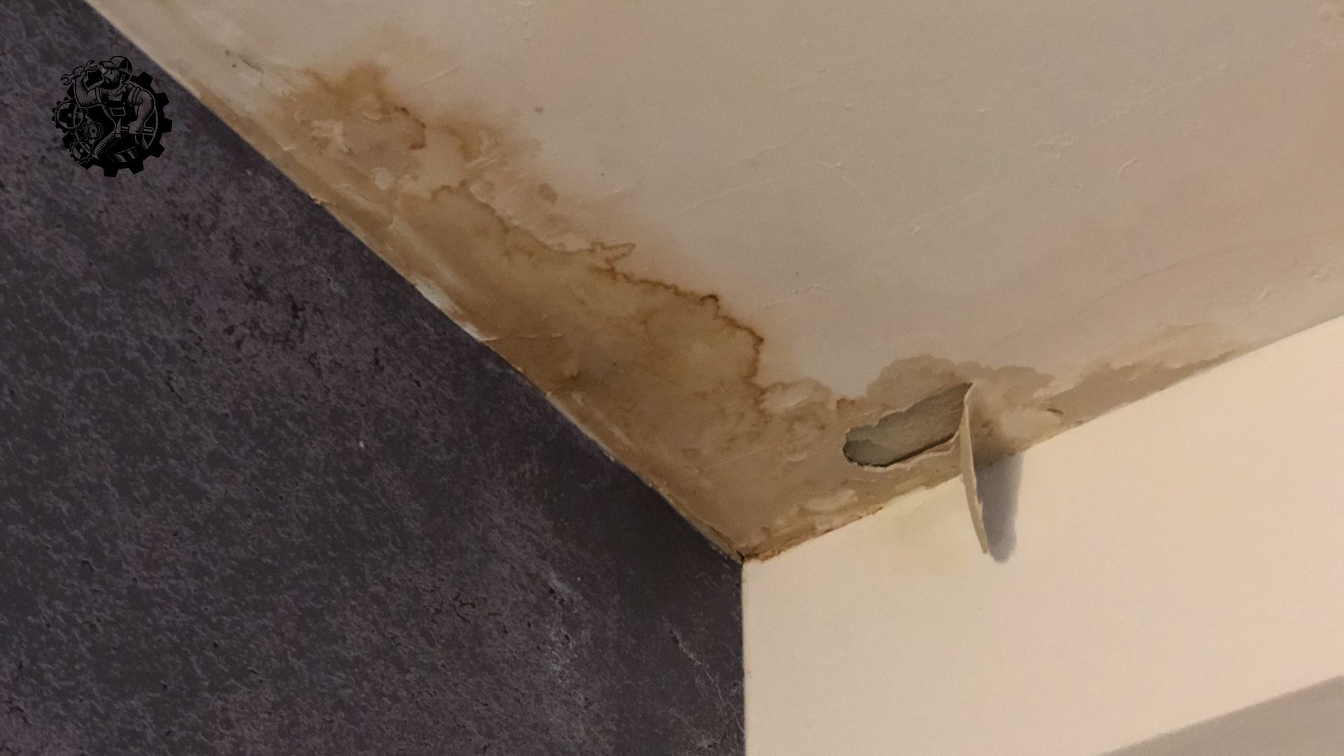 Water Damage Restoration Services in Wiconisco, PA