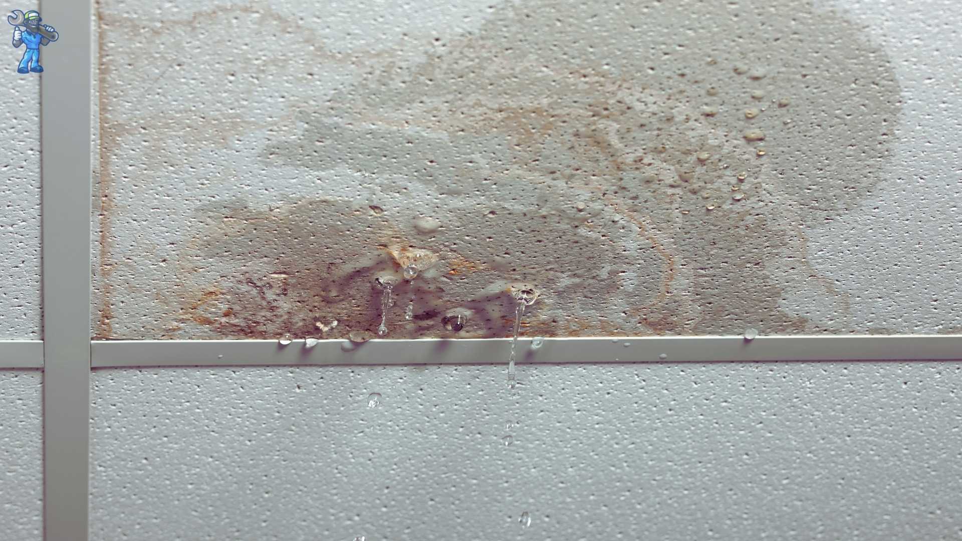 Water Damage Restoration Experts in Woods Cross, Utah
