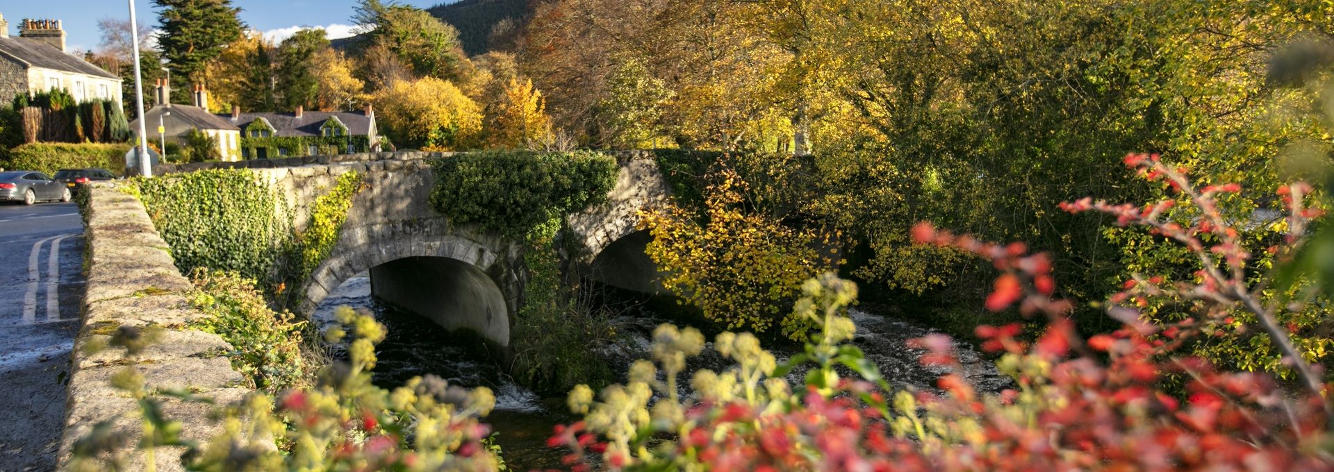 HP Banner Rostrevor