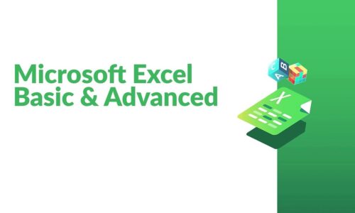 Basic & Advance Excel
