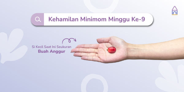 Weekly Pregnancy: Kehamilan Minggu Ke-9