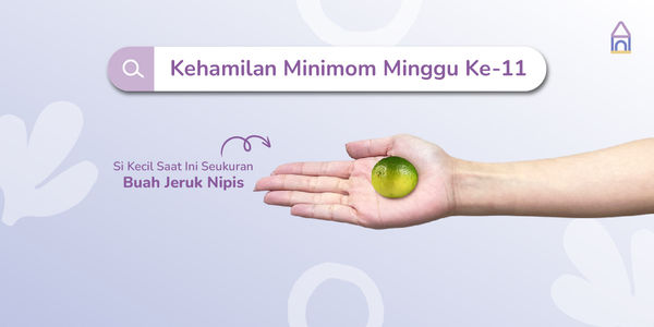 Weekly Pregnancy: Kehamilan Minggu Ke-11