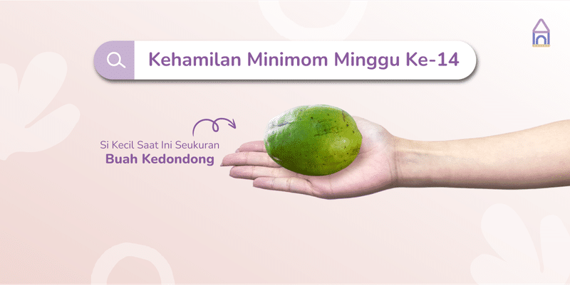 Weekly Pregnancy: Kehamilan Minggu Ke-14