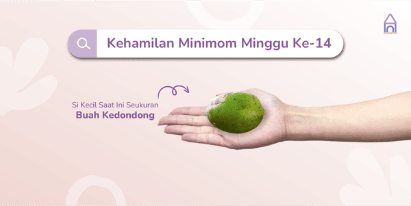 Weekly Pregnancy: Kehamilan Minggu Ke-14