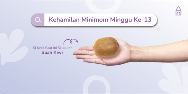 Weekly Pregnancy: Kehamilan Minggu Ke-13