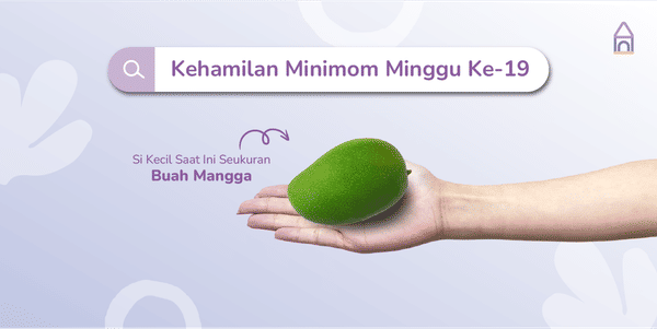 Weekly Pregnancy: Kehamilan Minggu Ke-19