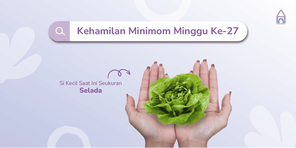 Weekly Pregnancy: Kehamilan Minggu Ke-27