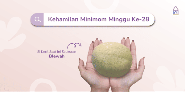 Weekly Pregnancy: Kehamilan Minggu Ke-28