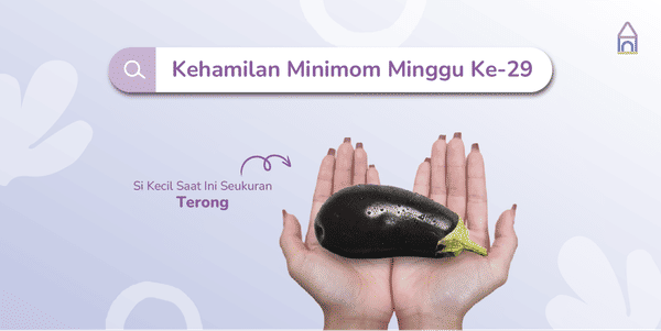 Weekly Pregnancy: Kehamilan Minggu Ke-29