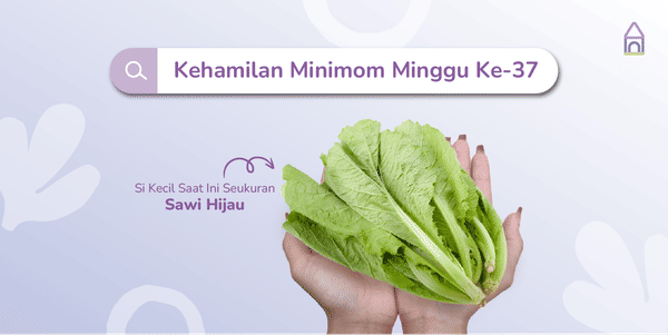Weekly Pregnancy: Kehamilan Minggu Ke-37