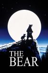 The Bear