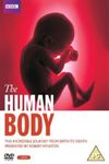 The Human Body