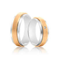 Fancy 110