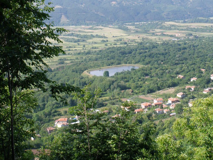 Park Petrich