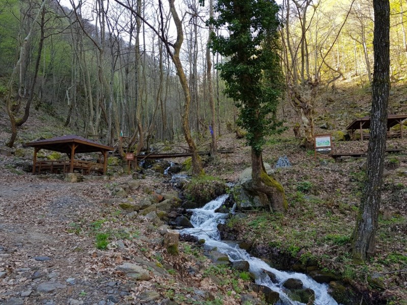 Park Petrich