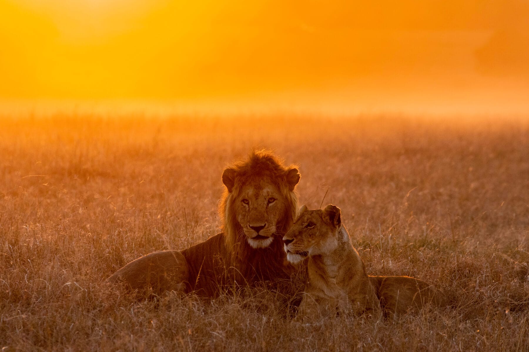 5 best places to visit in 2024