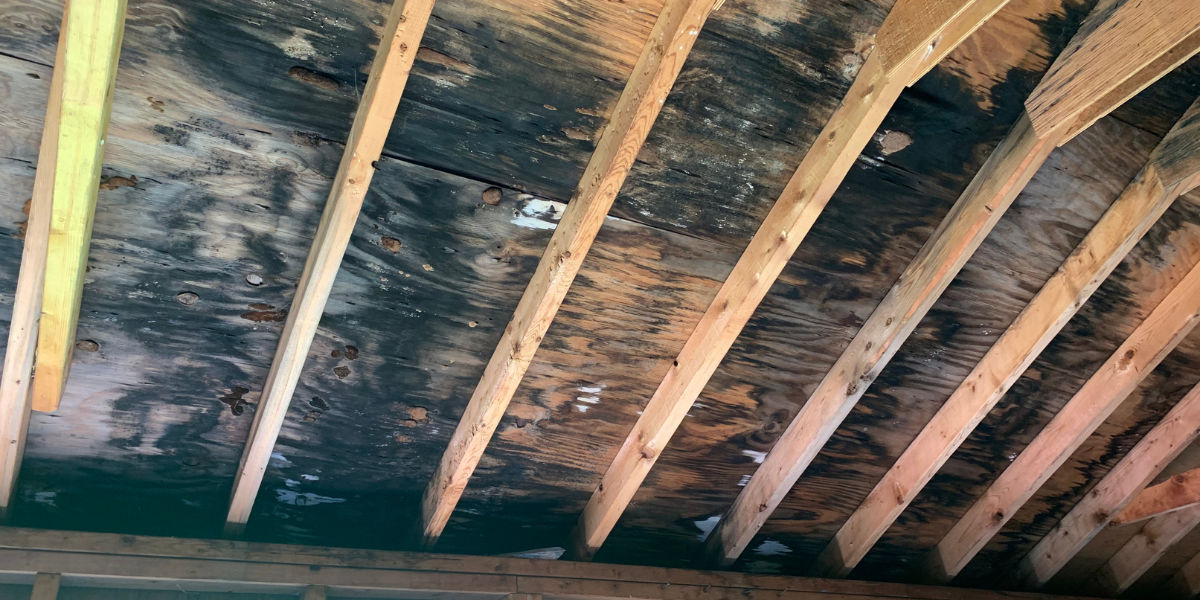 Best HVAC System Mildew Treatment in Lumberton, NC