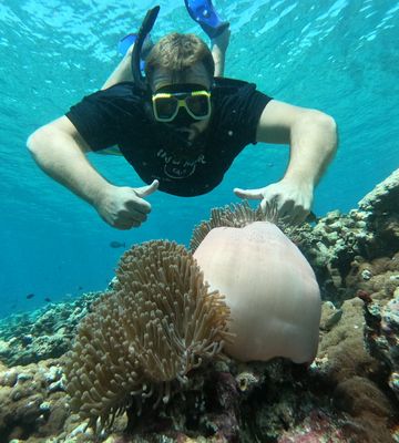 Speed boat Snorkeling