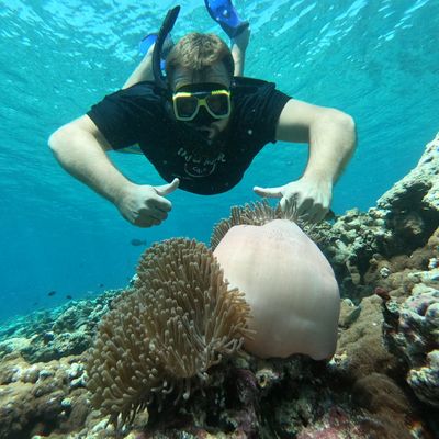 Speed boat Snorkeling