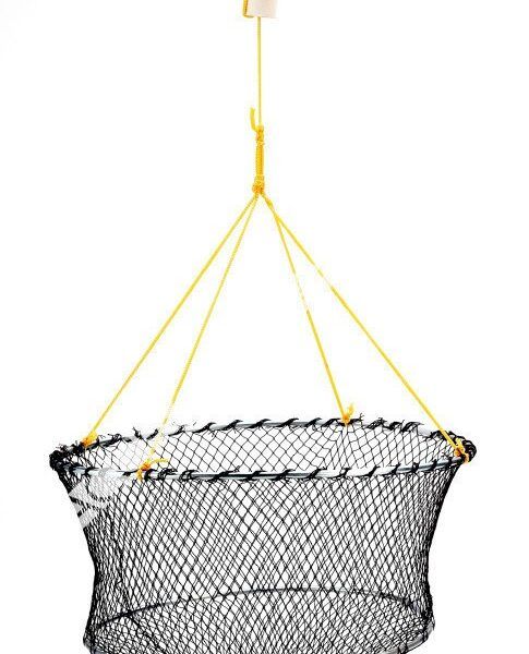 RETEL CAMARÓN-CANGREJO