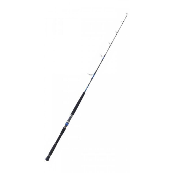 Caña Daiwa SALTIGA DEEP 55