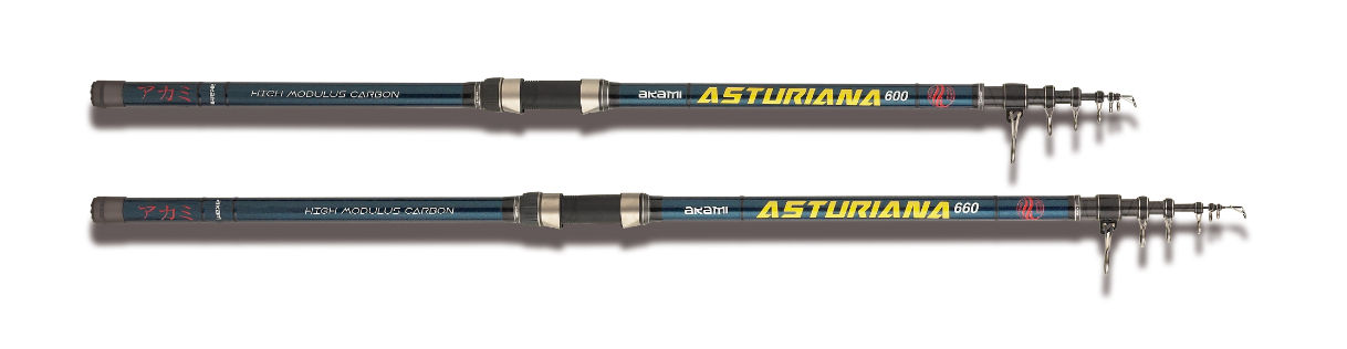 Caña Akami ASTURIANA 6.00mts.