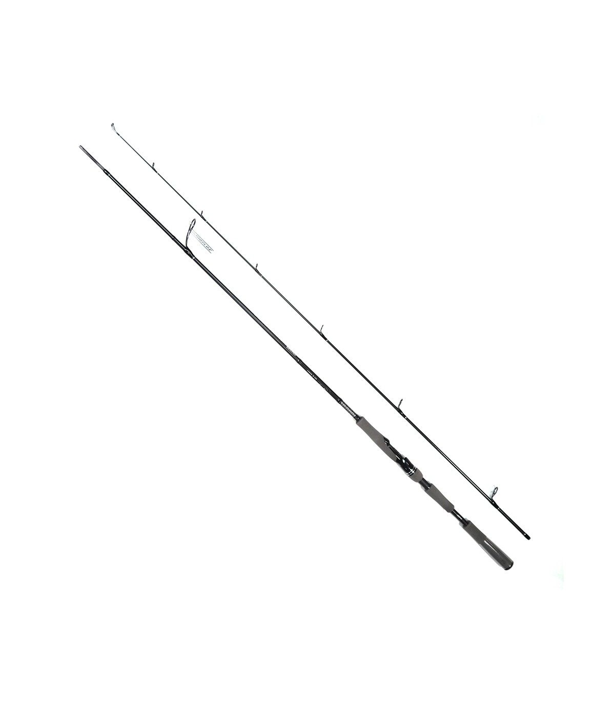 Caña Daiwa SALTIST AGS III