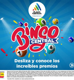 Oportunidades de bonos de bingo