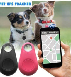 Ofertas de GPS Para Mascotas