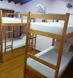 Ofertas de una cama en habitacion para 4 personas en Purple Monkey Hostel 