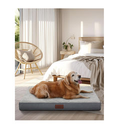 Ofertas de Cama Ortopédica Grande para Perros Grandes - OhGeni - ¡Oferta Relámpago!