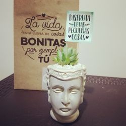 imagen Ofertu