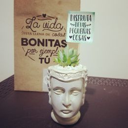 imagen Ofertu