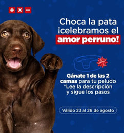 Ofertas de Participa en el concurso Amor Perruno de Mas X Menos