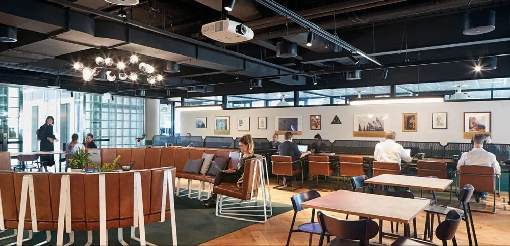 best pet-friendly serviced offices in Melbourne