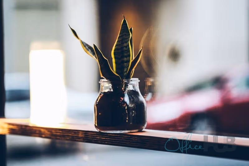 25 Clifton St, Prahran - Image 1