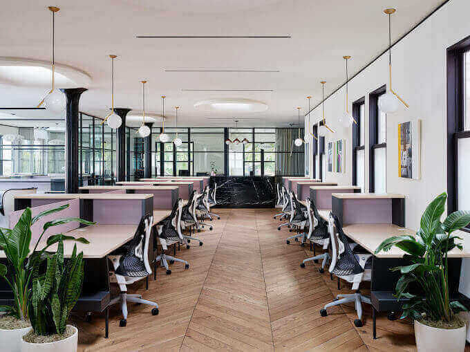 Canopy Pacific Heights - Image 1