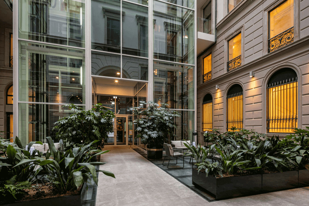 Wellio Milan Dante - Image 1