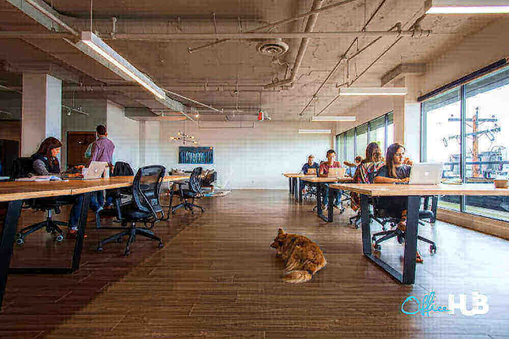 225 W 8th Ave, Vancouver - Image 1