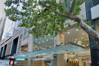 115 Pitt St - Image 1