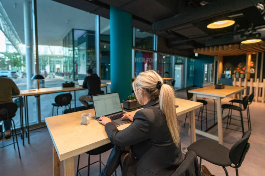 New Work Harbour - Image 1