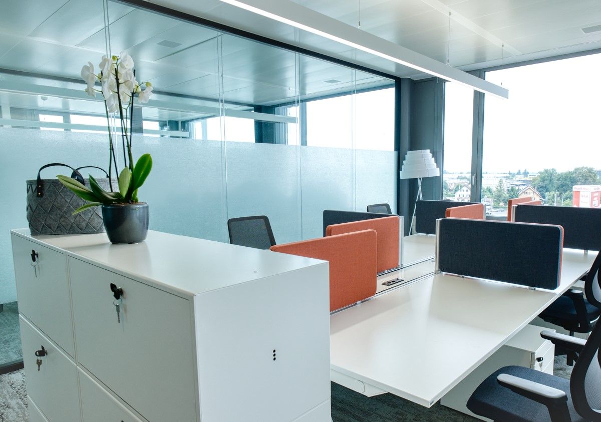 Riantbosson Center - Image 1