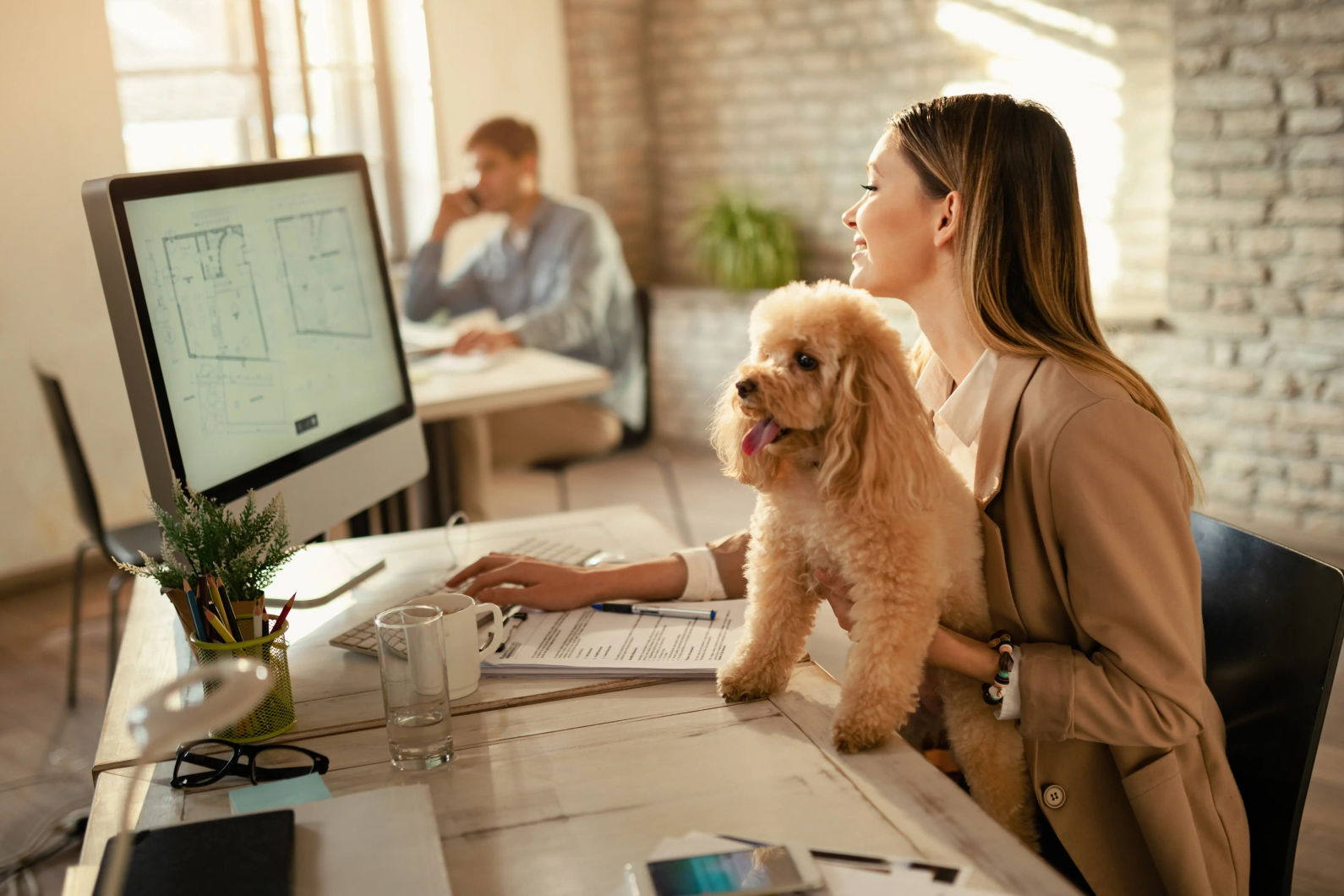 pet-friendly coworking spaces in Melbourne