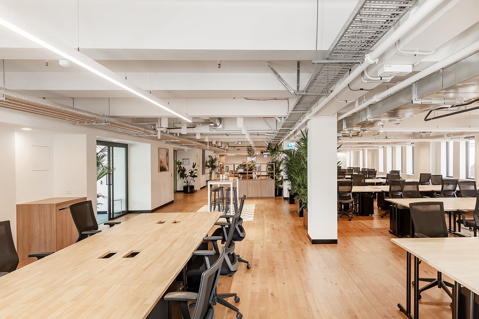 Shared office space Adelaide