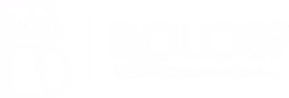 Bolo89 logo