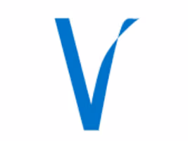 The V logo
