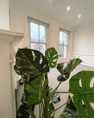 The BEST Coworking Spaces in Chelsea