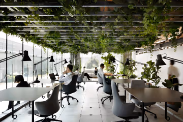 The Benefits of Biophilic Design for Flexible Workspaces