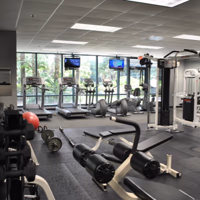 10150 Highland Manor Drive, Tampa Image 6